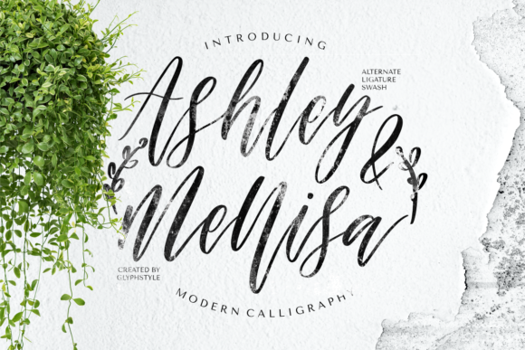 Ashley Mellisa: A Contemporary Script Font for Modern Web Design