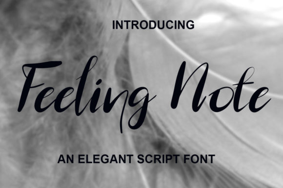 Feeling Note: The Script Font That Elevates Campaign Visuals with Style and Clarity