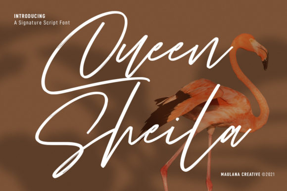 Queen Sheila: The Handwritten Font for Bold Campaigns