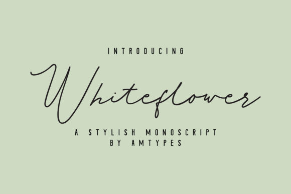 Whiteflower: A Stylish Script Font for Modern Web Design Projects